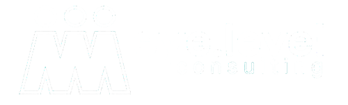 eye-level consulting